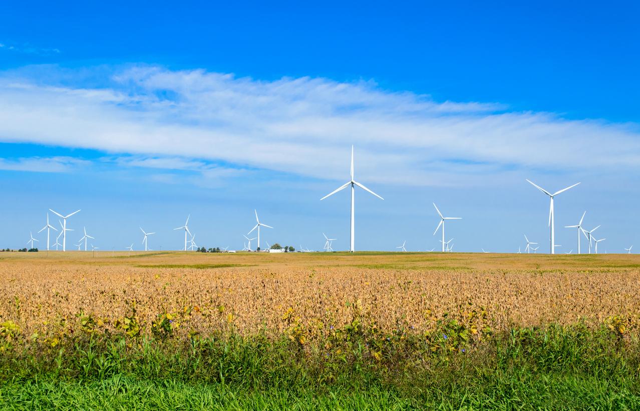 A large grouping of Wind turbines generating electricity for surrounding towns in Central Illinois. The wind turbines are located on the farmland. In the foreground of the color photograph is a large soybean field ready for harvest. In the background is blue sky and clouds.